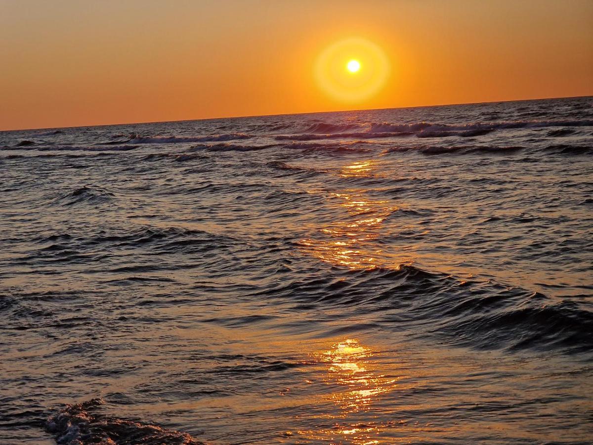 Apartamenty Przy Plazy Shellter Rogowo  Bagian luar foto